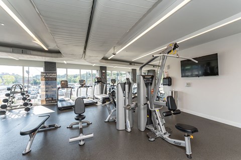 a gym with weights and cardio equipment and a view of the city
